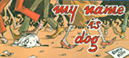 My Name is Dog (Piccolo )