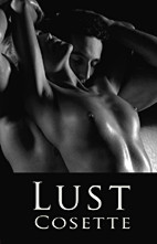 Lust - 2 erotische Novellen in einem Band