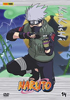 Naruto 14 DVD