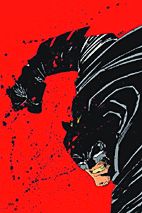 Batman: The Dark Knight