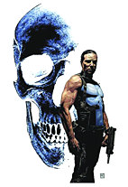 The Punisher - Garth Ennis Collection 2 HC