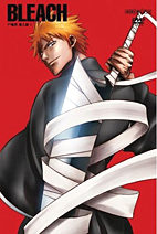 Bleach 6 DVD