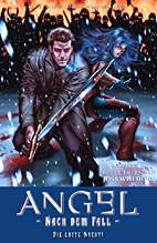 Angel - Nach dem Fall 2: Die erste Nacht (Angel - Jaeger der Finsternis)