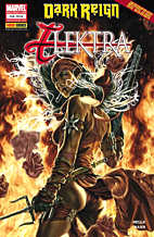 Dark Reign Special 1: Elektra