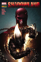 Shadowland Special: Bullseye