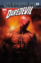 Daredevil 10: Shadowland 2 (von 2)