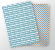 Skizzenhefte Set Foliate 21 (gruen-blau & orange-blau - PA-RF0421)