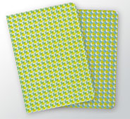 Skizzenhefte Set Foliate 22 (gruen-gelb & blau-gelb - PA-RF0422)