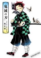 Demon Slayer Artbook - Gesammelte Illustrationen von Koyoharu Gotouge