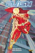Flash 4: Das Gesetz der Rogues (2022)