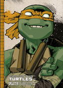 Teenage Mutant Ninja Turtles Splitter Collection 7 (TMNT) (Splitter Books)