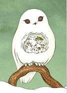 Postkarte PK-MOS0101 (10er Set) - moki Set 2