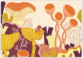 Postkarte PK-RF2701 (10er Set) - Rita Fuerstenau Set 13