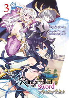 Reincarnated as a Sword: Another Wish 3