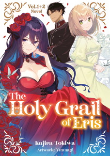 Light Novel: The Holy Grail of Eris 1 (Doppelband)